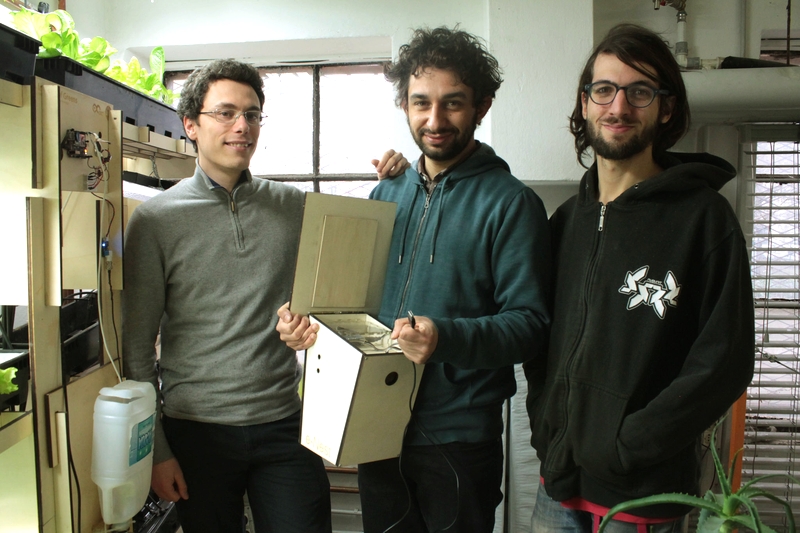 E-nest, il nido IOT che consente di monitorare il ripopolamento della fauna in città