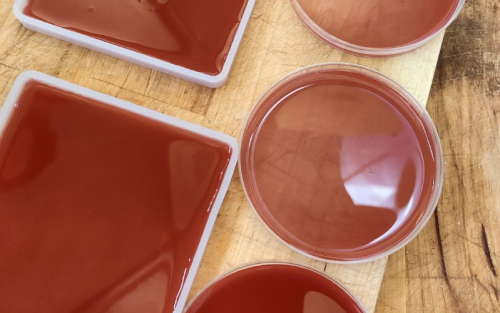 Biomaterial-workshop-preparazione