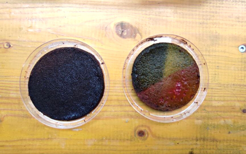 Biomaterial workshop | samples